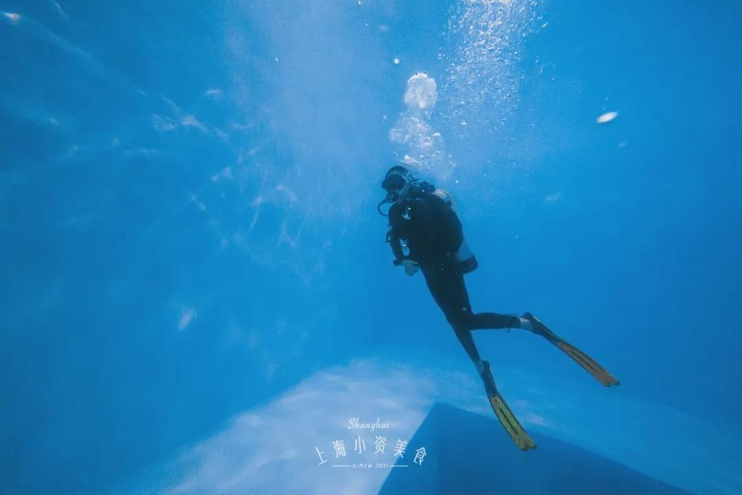 天鹅森林逃脱